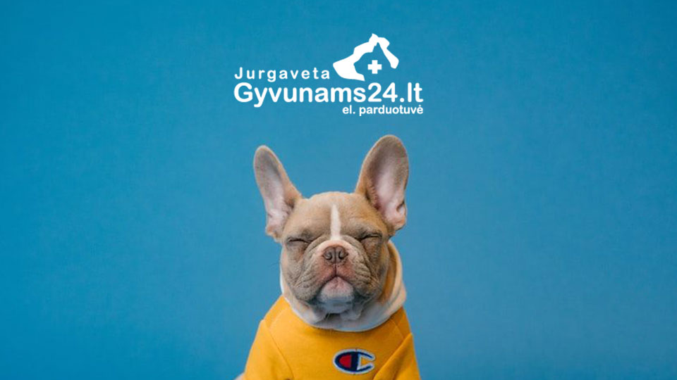 Gyvunams24.LT